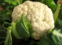 agroquimicosochoa-col